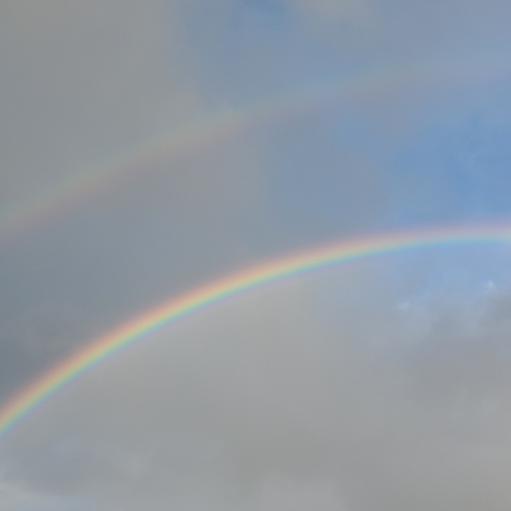 Meet your Posher, koolear